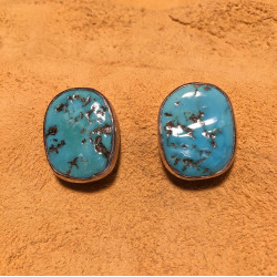 Natural Sleeping Beauty Turquoise Earrings