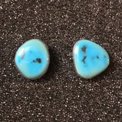 Natural Sleeping Beauty Turquoise Earrings